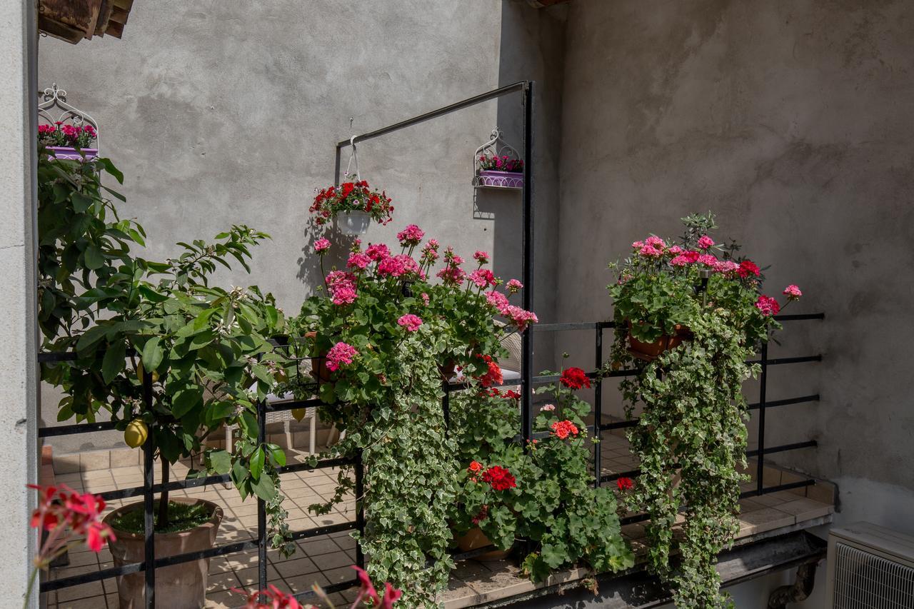 Veronetta House Affittacamere